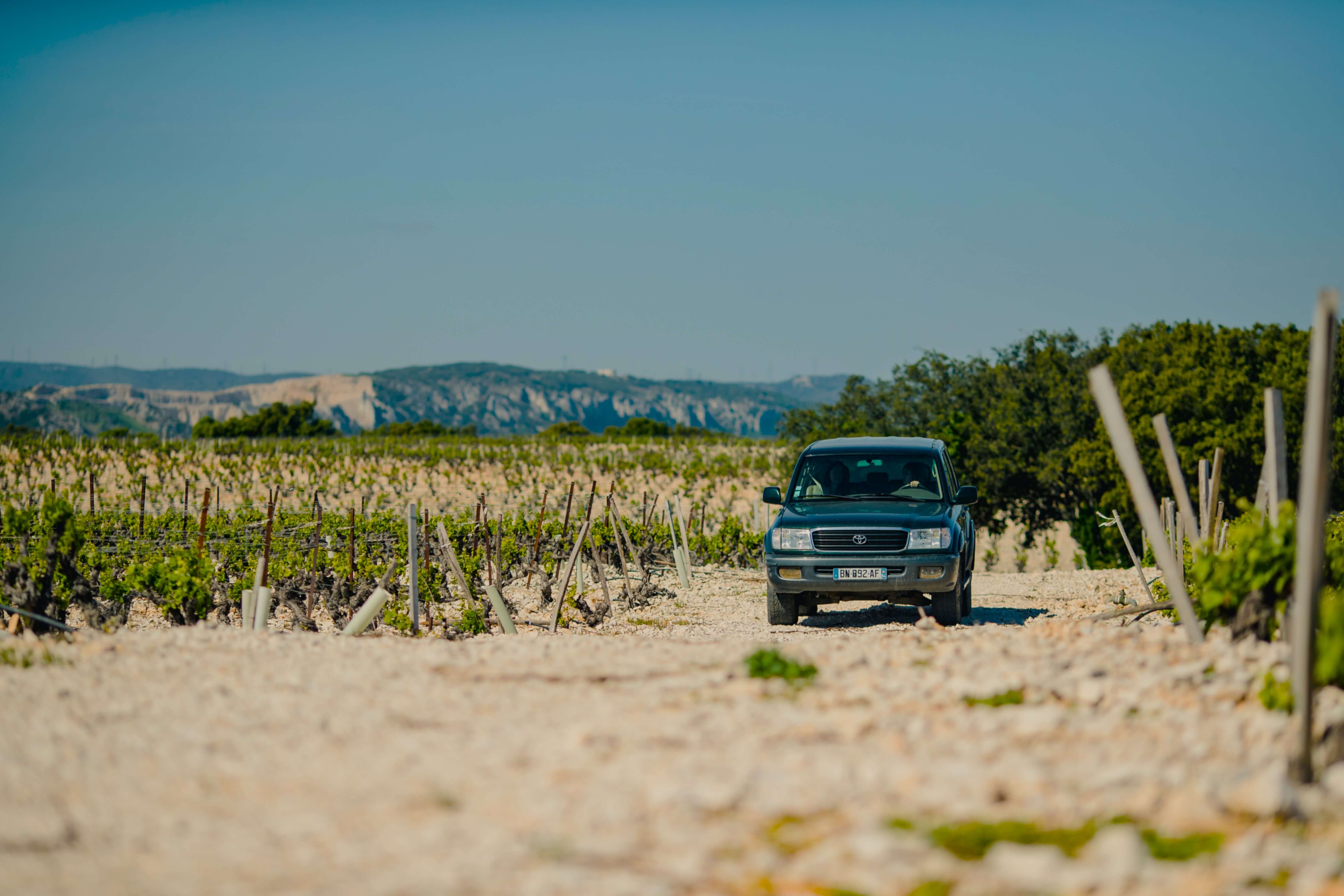 visite-vignes-maison-quiot