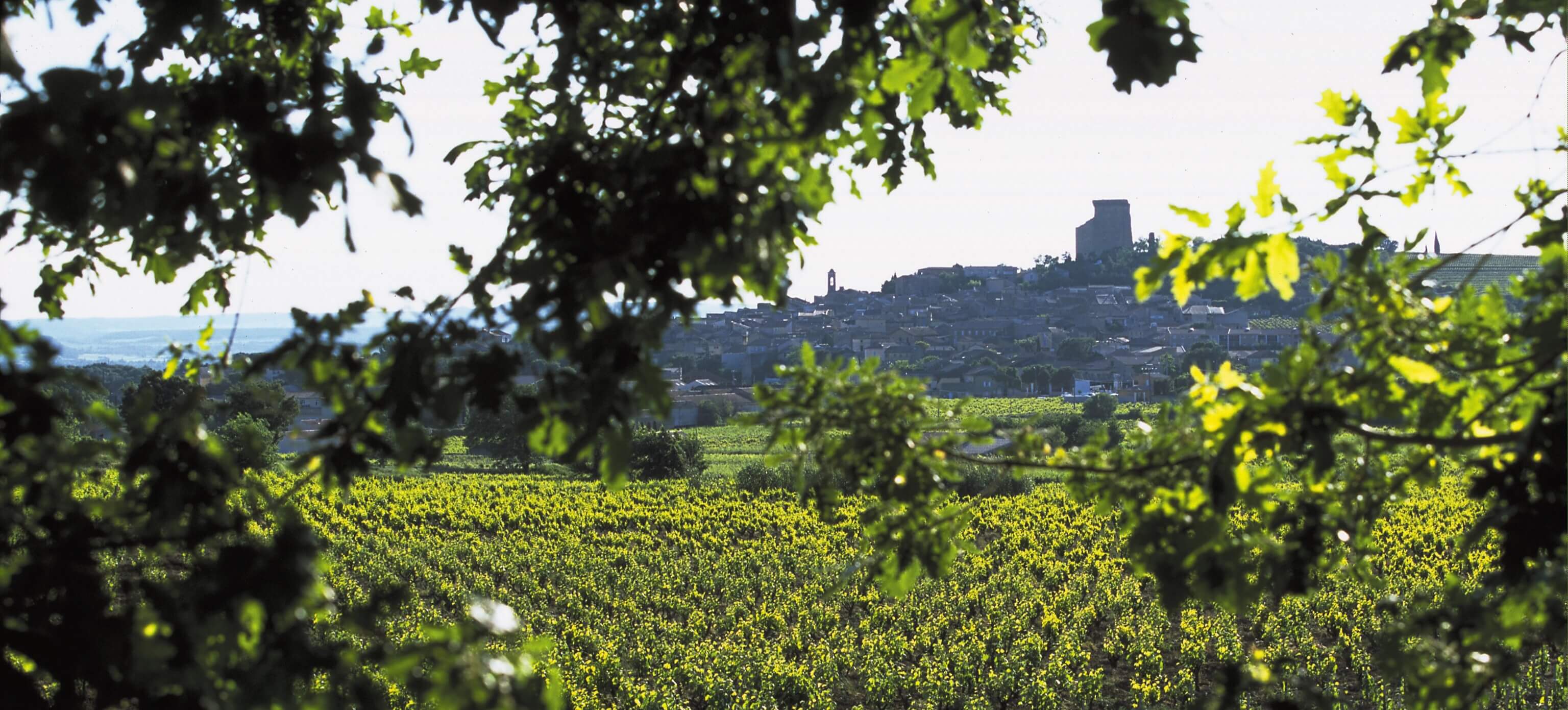 Accueil - Famille Quiot